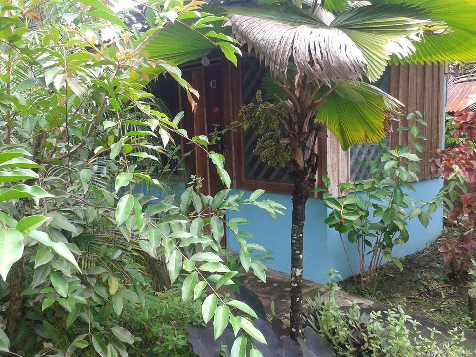 Hotel Puerto Viejo Puerto Viejo de Talamanca Exterior foto